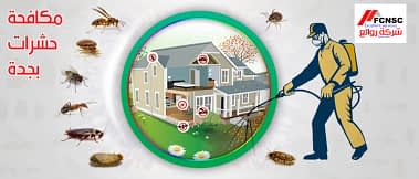 شركة رش حشرات بجدة