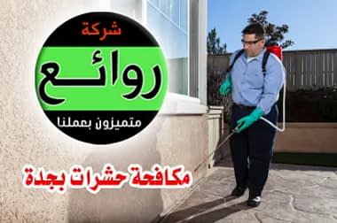 رش حشرات بجدة