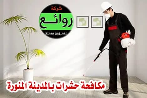 رش حشرات بالمدينة