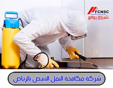 افضل شركة مكافحة نمل أبيض بالرياض