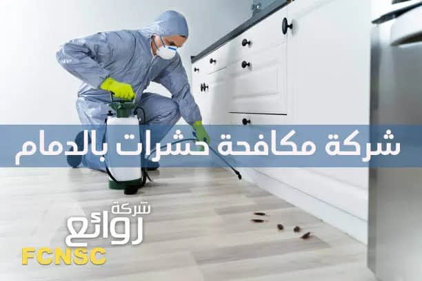شركة مكافحة حشرات بالدمام