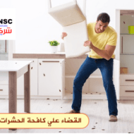 مكافحة الفئران في مسقط