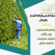 شركة قص وإزالة أشجار بالرياض